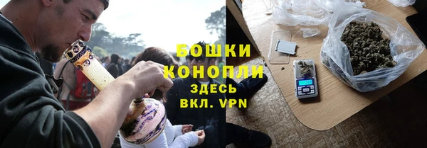 индика Балабаново