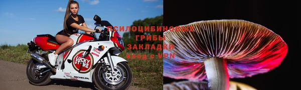индика Балабаново