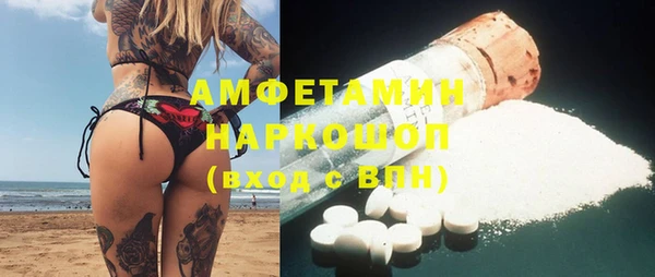 индика Балабаново