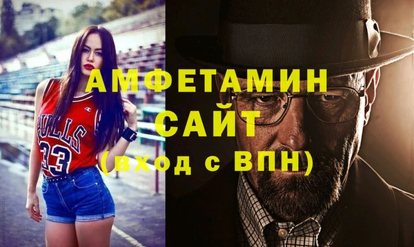 индика Балабаново
