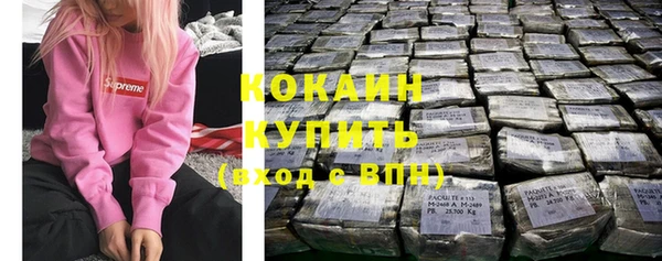 индика Балабаново