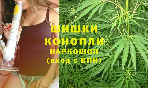 винт Балахна