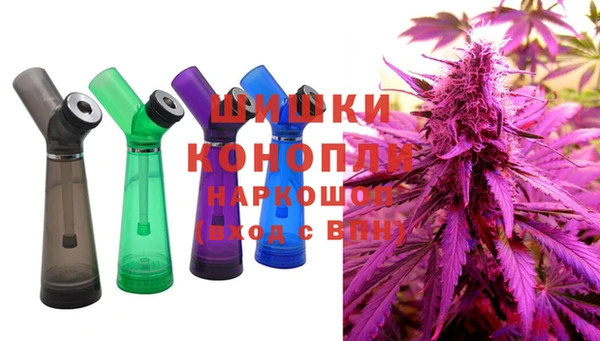 индика Балабаново
