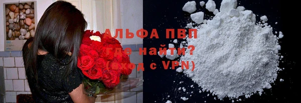 индика Балабаново