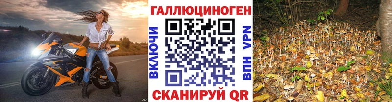 Псилоцибиновые грибы GOLDEN TEACHER  Лукоянов 